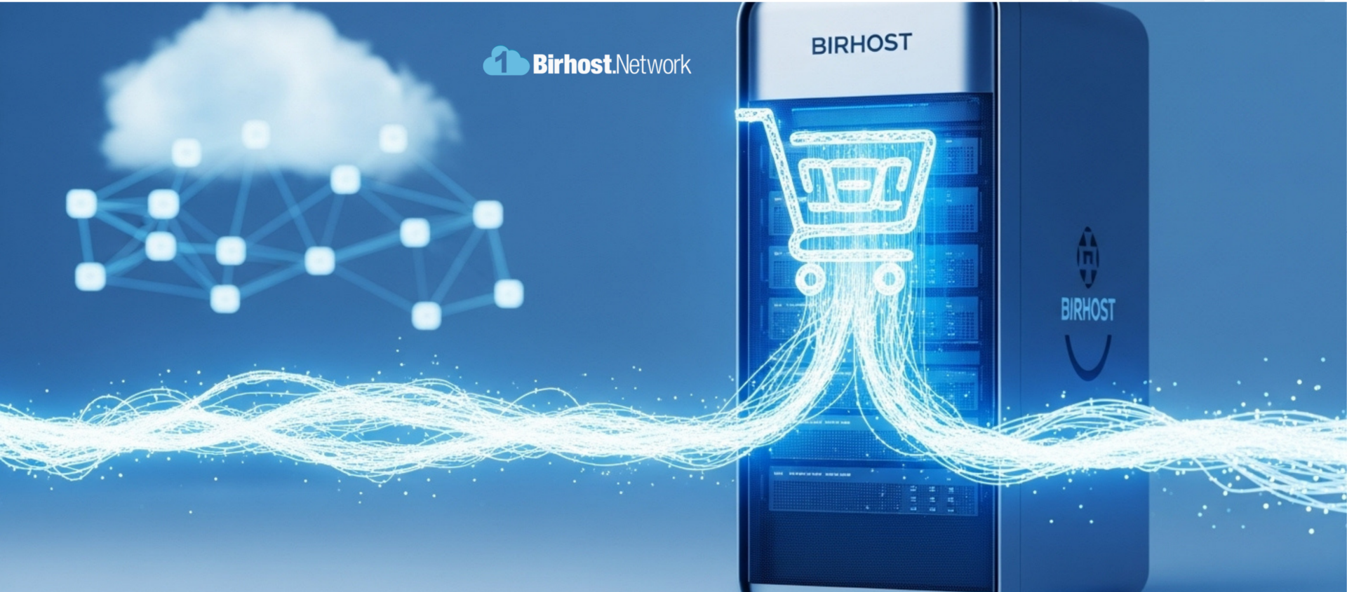 E-Ticaret Hosting Nedir?